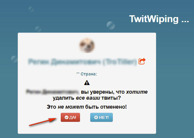 подтверждение удаления твитов
