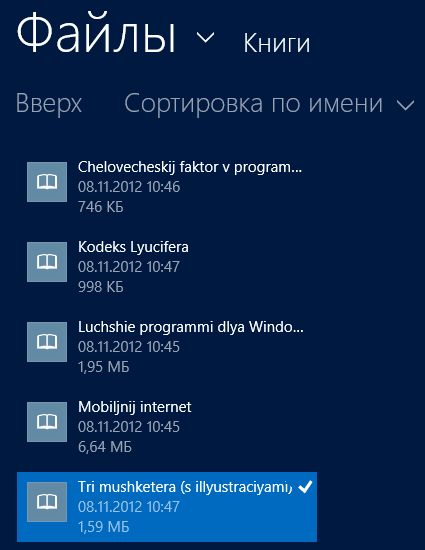 BookReader – отличная читалка ePub для Windows 8