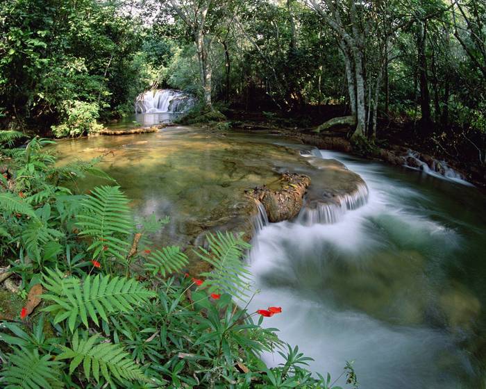 Что делать, если смартфон быстро разряжается