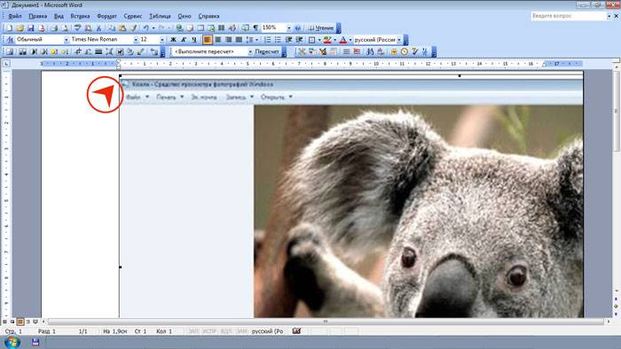 Как сделать скриншот на компьютере с ОС Windows 7, 8, 10?