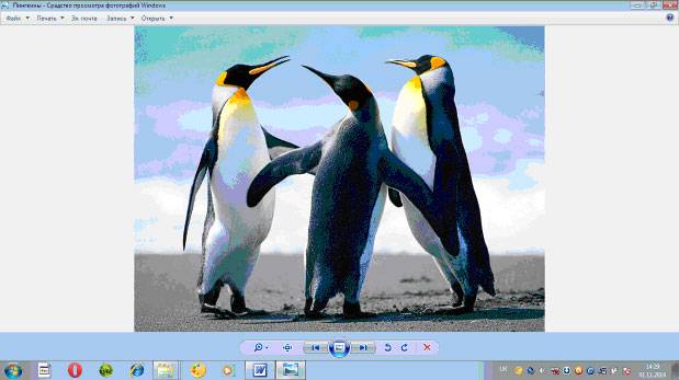 Как сделать скриншот на компьютере с ОС Windows 7, 8, 10?