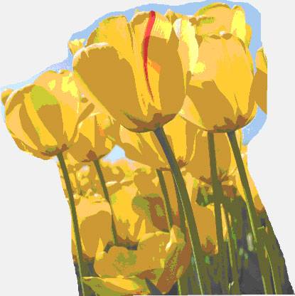 Как сделать скриншот на компьютере с ОС Windows 7, 8, 10?