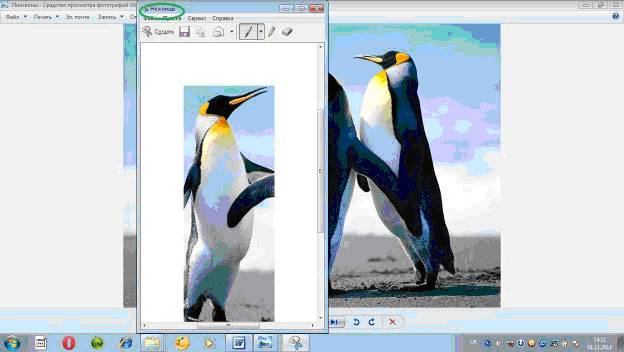 Как сделать скриншот на компьютере с ОС Windows 7, 8, 10?