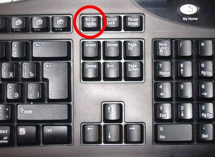 Как сделать скриншот на компьютере с ОС Windows 7, 8, 10?