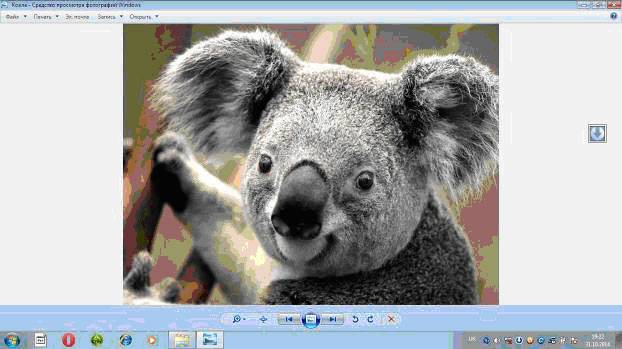 Как сделать скриншот на компьютере с ОС Windows 7, 8, 10?