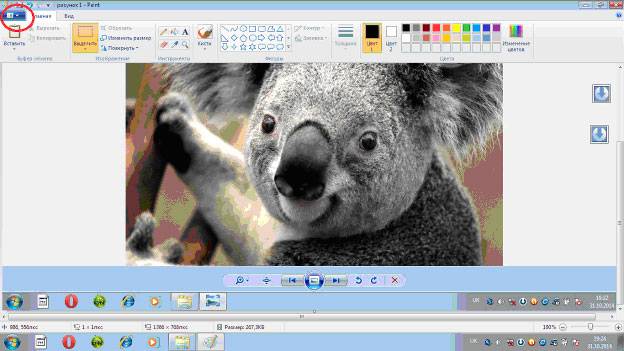 Как сделать скриншот на компьютере с ОС Windows 7, 8, 10?