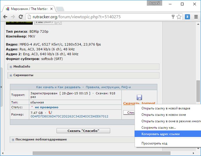 Медиаплеер RoxPlayer с поддержкой воспроизведения видео с торрентов