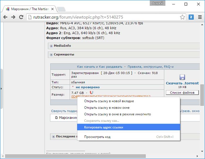 Медиаплеер RoxPlayer с поддержкой воспроизведения видео с торрентов