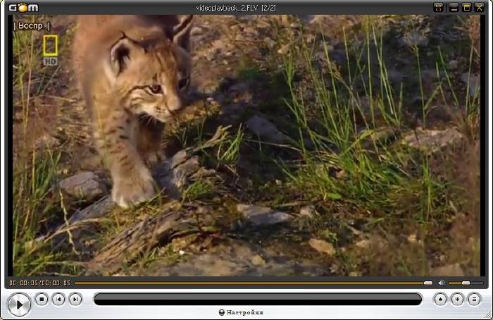 Обзор проигрывателей фильмов на компьютер