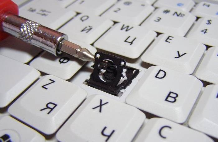 Процесс снятия клавиатуры с ноутбука своими руками Процесс снятия клавиатуры с ноутбука своими руками