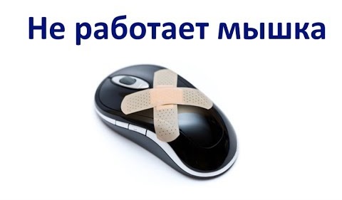 Мышь не работает - Что делать