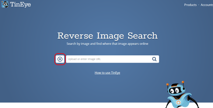 Как найти похожие картинки по фото