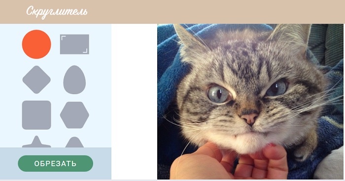 Обрезать фото по кругу онлайн