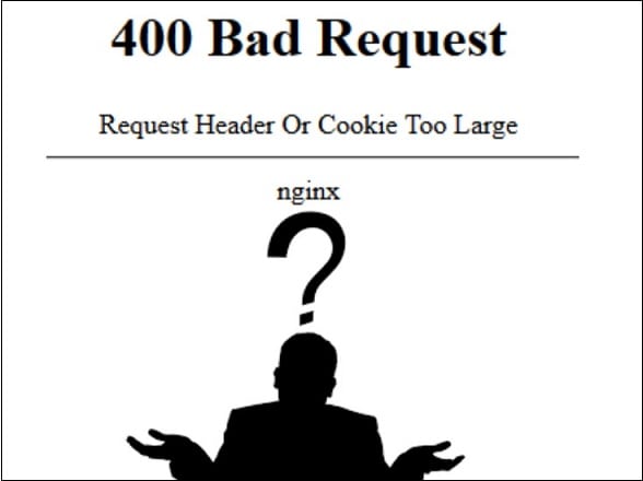 Как исправить Request Header Or Cookie Too Large