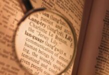 Где перевести текст по низкой цене