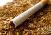 Какие преимущества у покупки сигарет оптом?