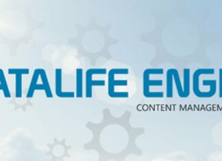 Как работать с DLE