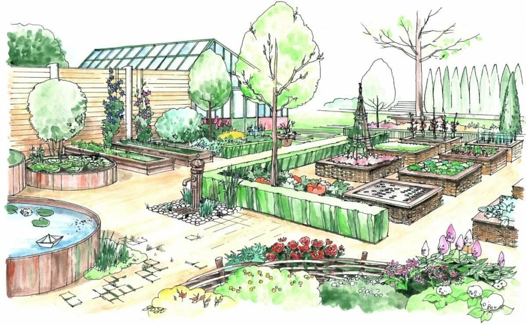 С чего начать благоустройство участка?