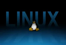 Linux в Админских Руках: Магия Консоли и Искусство Управления Сервером