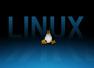 Linux в Админских Руках: Магия Консоли и Искусство Управления Сервером