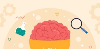 Система управления знаниями: зачем она нужна и как помогает бизнесу